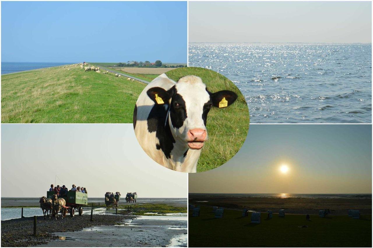 Ferienwohnungen Im Womoland Auf No Nordstrand Bagian luar foto
